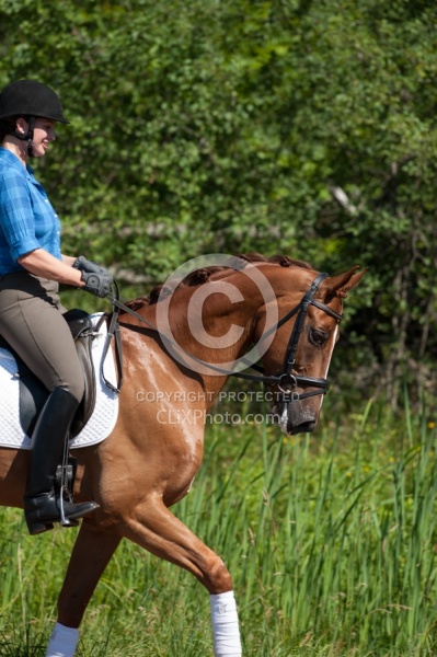 Oldenburg Pangea farms Dressage Schooling outside the Arena Oldenburg