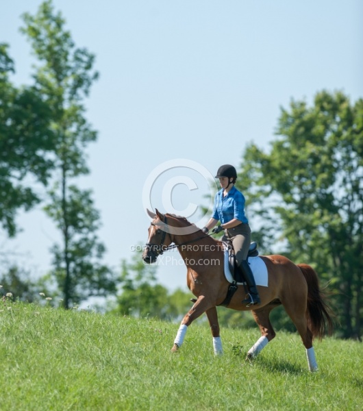 Oldenburg Pangea farms Dressage Schooling outside the Arena Oldenburg