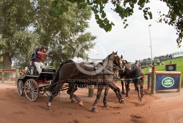 Chester Weber WEG 2014 Normandy, France
