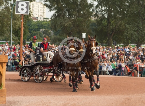 Chester Weber WEG 2014 Normandy, France