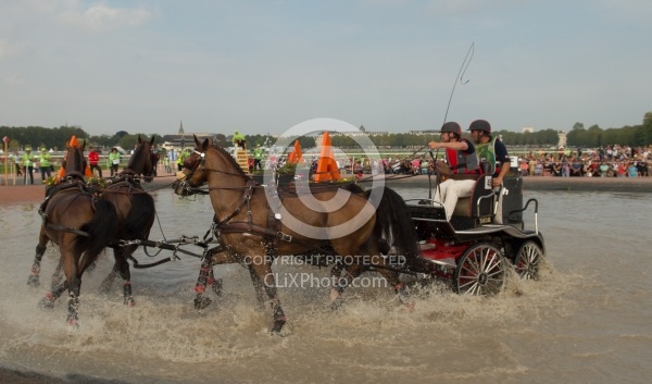 Chester Weber WEG 2014 Normandy, France