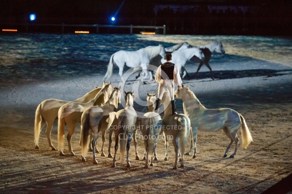 WEG 2014 Normandy