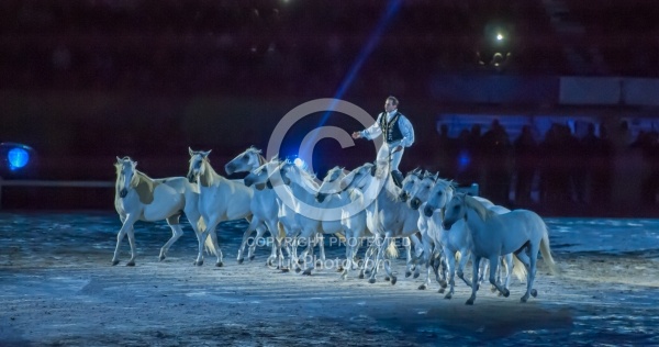 WEG 2014 Normandy