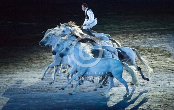 WEG 2014 Normandy