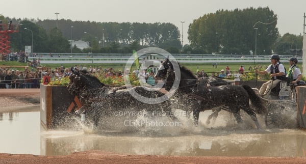 Boyd Exell Gold Medal Winner WEG 2014 Normandy