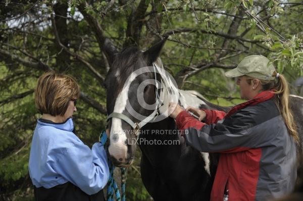 Vet Giving Vaccinations
