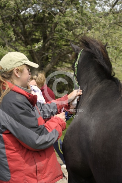Vet Giving Vaccinations
