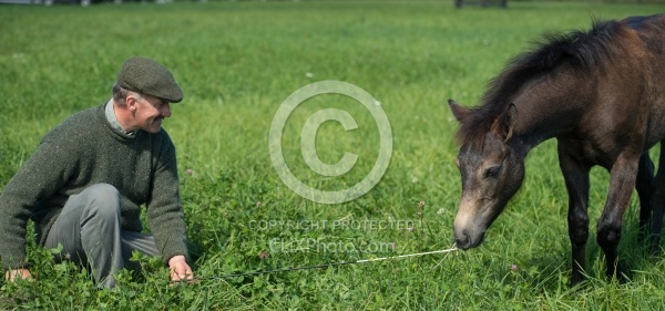 Connemara Filly  Century Hill's Pearl with Owner